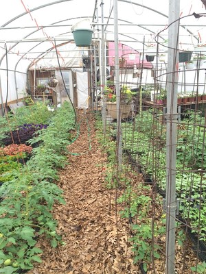 Nourish Produce