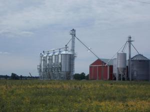 Raub-Rae Farms