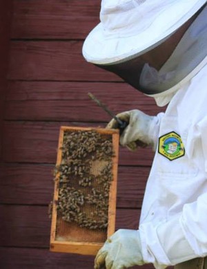Hott Apiary