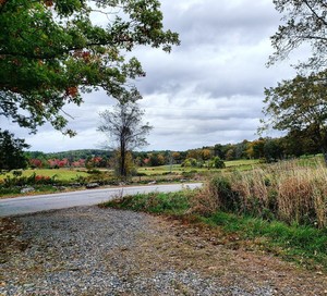 Willow Valley Farm