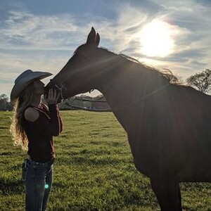 Maddox Livestock