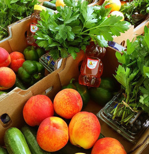 R.J. Laurino Farm Fresh CSA Program