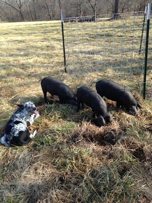 Hanna Family Ranch