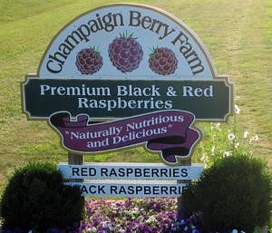 Champaign Berry Farm
