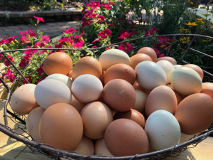 99 Oaks Farm