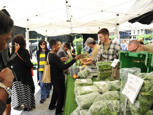Daley Plaza Farmers Market