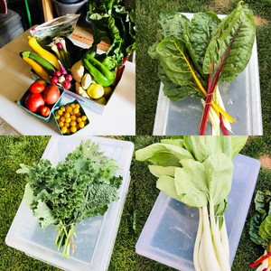 Jones Farmhouse Creations