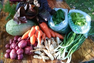 Rose of Sharon Homestead CSA & Pastured Meats