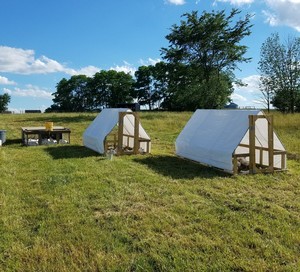 Belted Oak Ranch