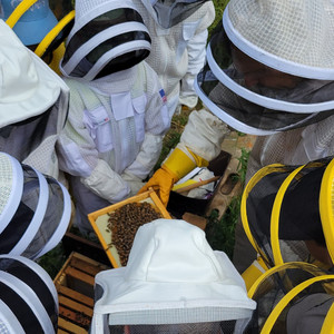 BayBees Honey