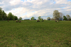 Brown Family Farm