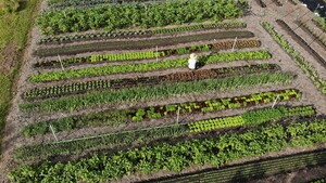 Tiny Farm