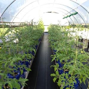 H2O Garden Produce