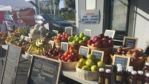 Santini Farmers Market Fort Myers Beach