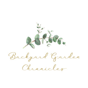 Wardicott Creations
