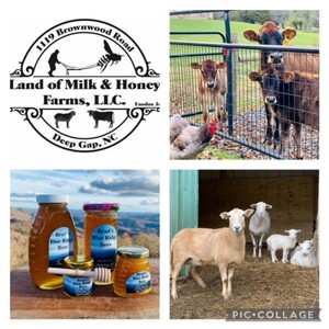 Land of Milk and Honey Farms, LLC