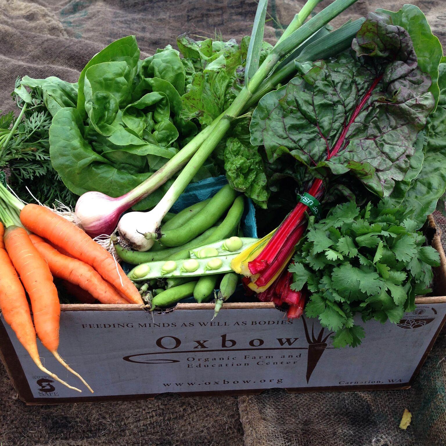 Oxbow CSA Box