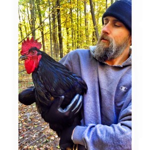Walters Poultry