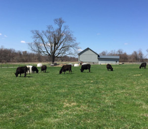 Drager Farms, LLC