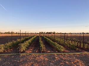 Leap Frog Farm