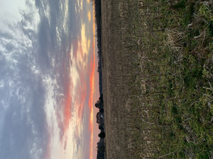 Stormy Acre Farm