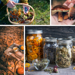 Finch & Fen Permaculture