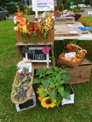 Milford Walnut Beach Farmers Market