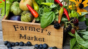 North Georgia Farmers Market - Blue Ridge