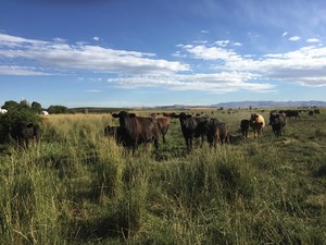ElkFlat Farm