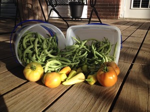 Good Ground Farm