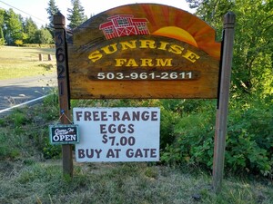 Sunrise Farm LLC
