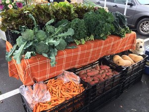 Mad Radish Farm