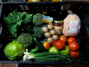 Cedar Valley Farms