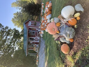 That Guys Family Farm