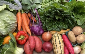 Spring Creek Farm