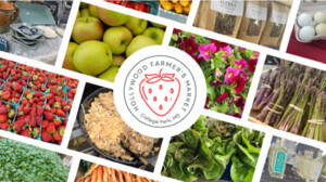 Hollywood Farmers Market