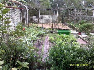K & W Apiary
