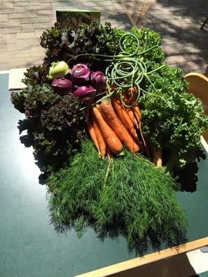 Heart and Soil Farm