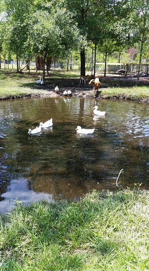 DiCrocco Family Farm