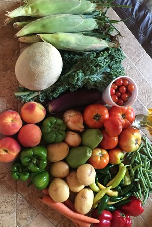 Wolff Family Farms