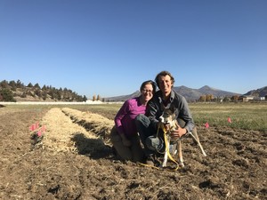 Sungrounded Farm