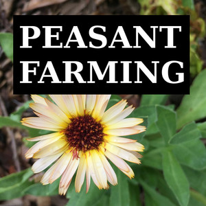 Peasant Farming