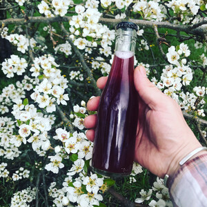 Oso Ferments