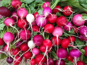 Chickadee Farms NC