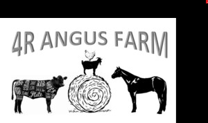 4R Angus Farm