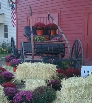 Sweetman's Farm