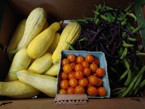 Bellevue Community Center Garden and Urban Farm