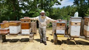Honeybells Bee Farm