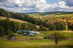 Allegheny Mountain Institute