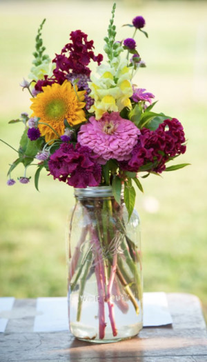 Harvest Bell Farm
